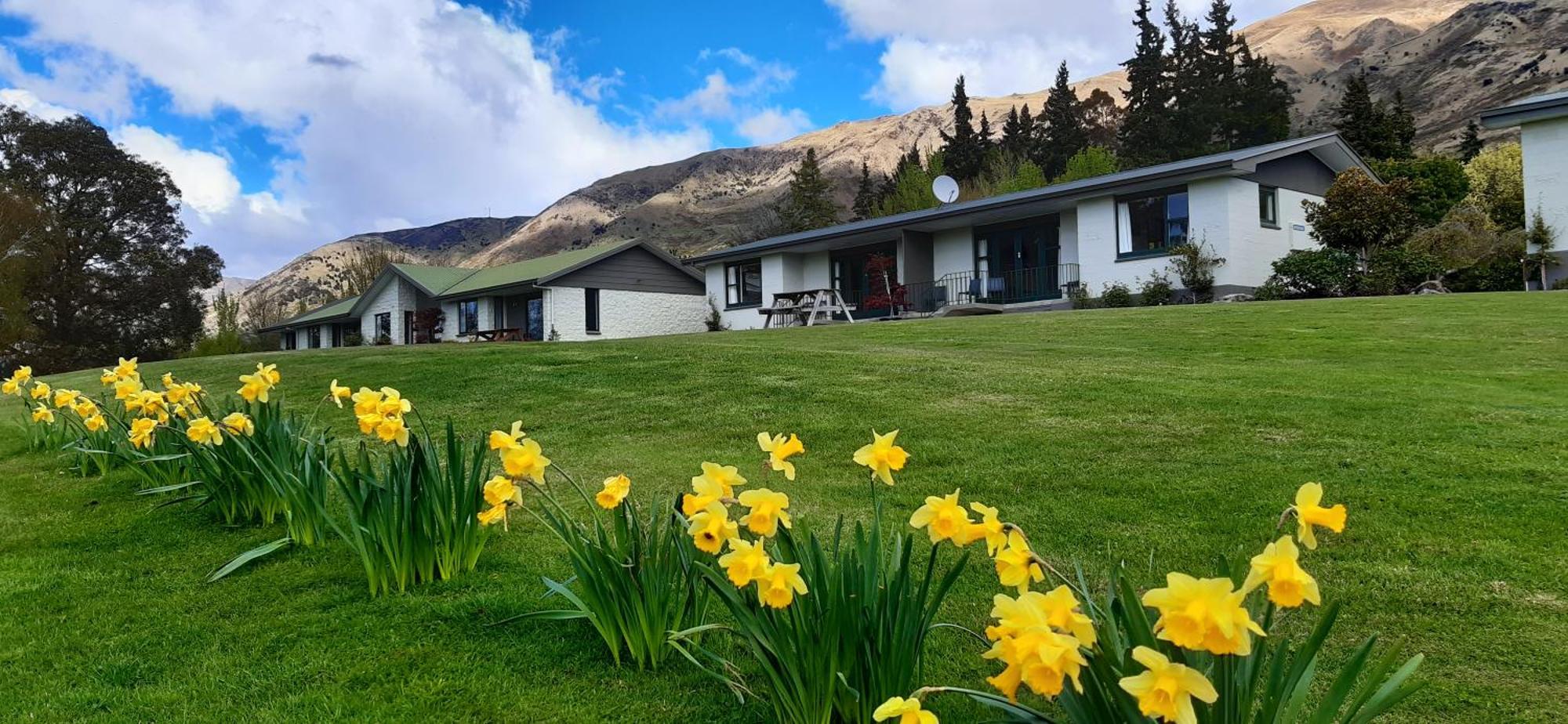 Wanaka Top 10 Holiday Park ภายนอก รูปภาพ